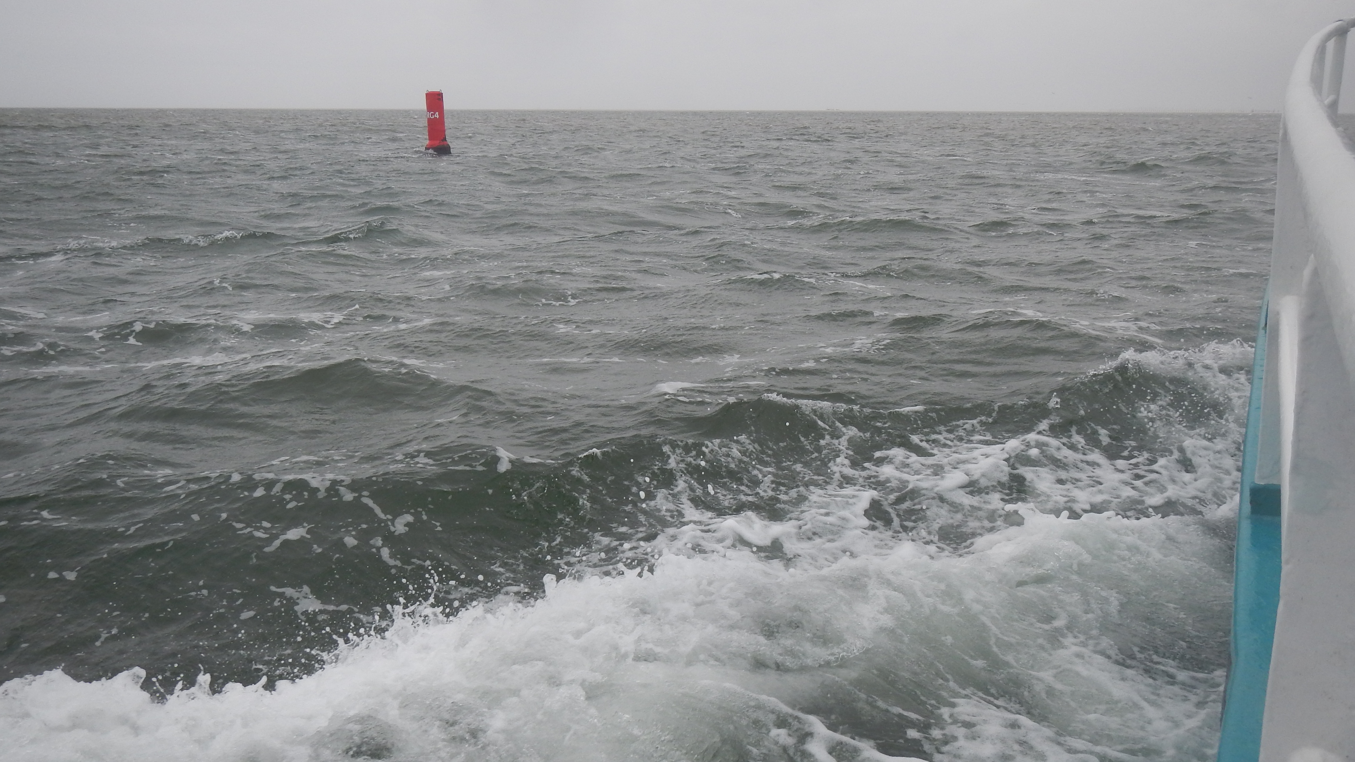 HWK Texel 2015 064.jpg